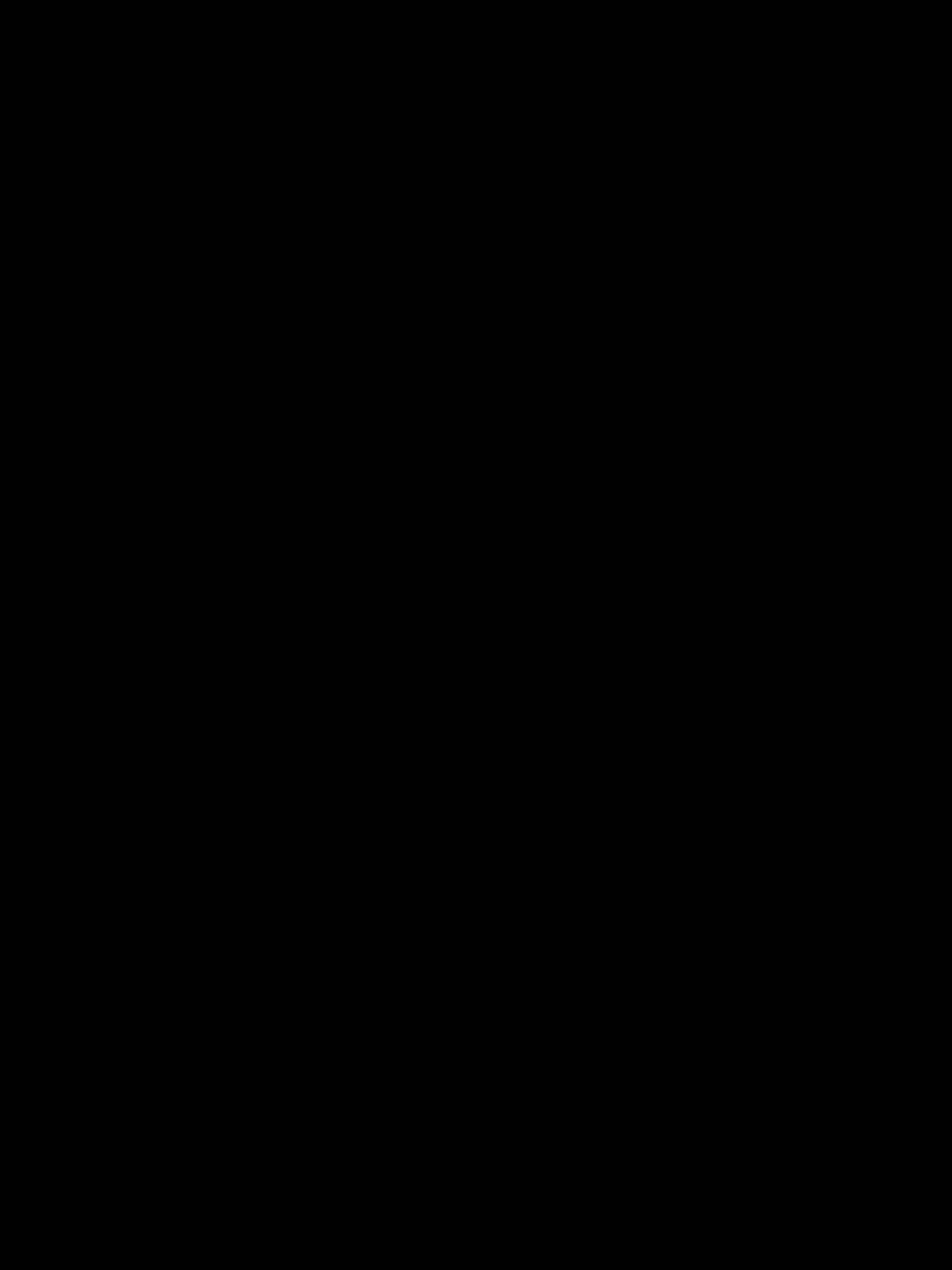 Bild 8 von 11