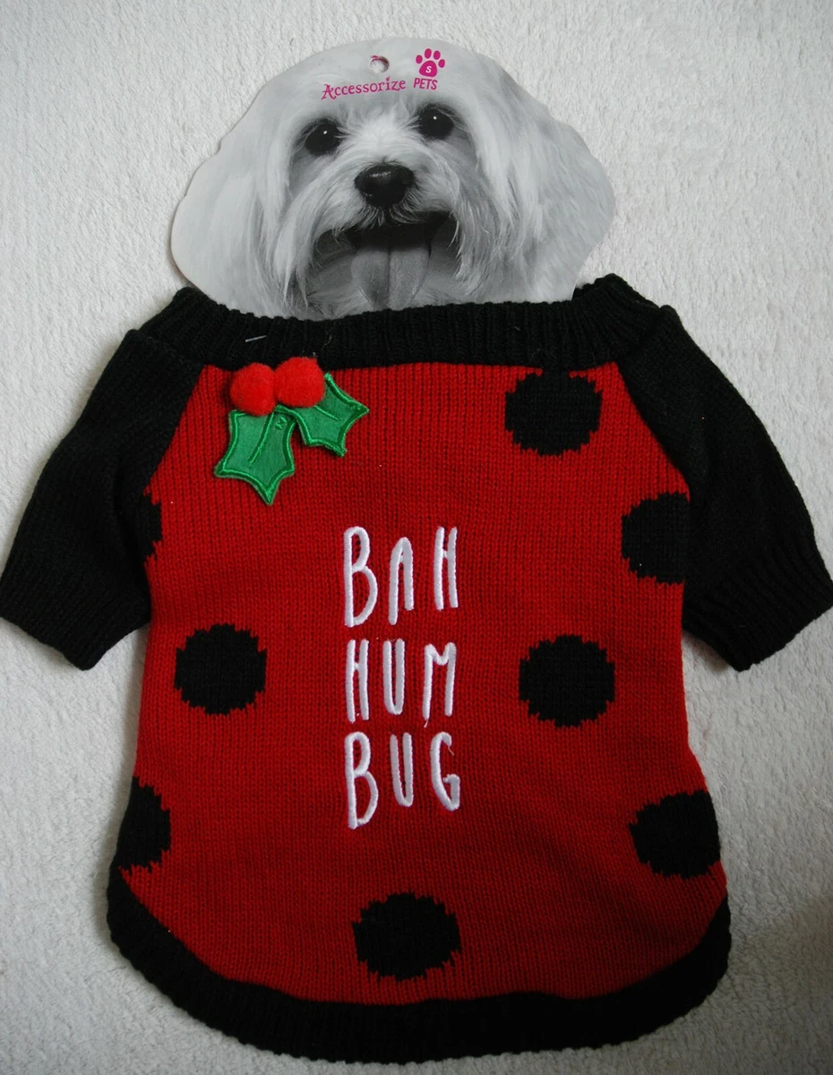Accessorize dog 2025
