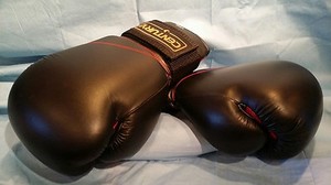 century heavy bag gloves