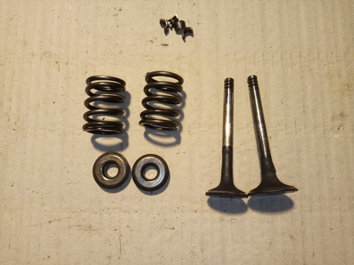 VW T4 - 1.9 Diesel 60 PS 2x Ventil Zylinderkopf Einlass + Auslass