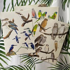 15 Pages of Vintage Australian Bird Paper - Junk Journal Scrap Paper Ephemera