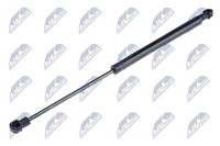 NTY Gasfeder Heckscheibe AE-RE-056 FüR ScÉNic Renault 2 JM0 JM0B JM0H JM1A Dci