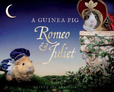 Ein Meerschweinchen Romeo Und Julia William, Goodwin, Alex, Newall, Tes