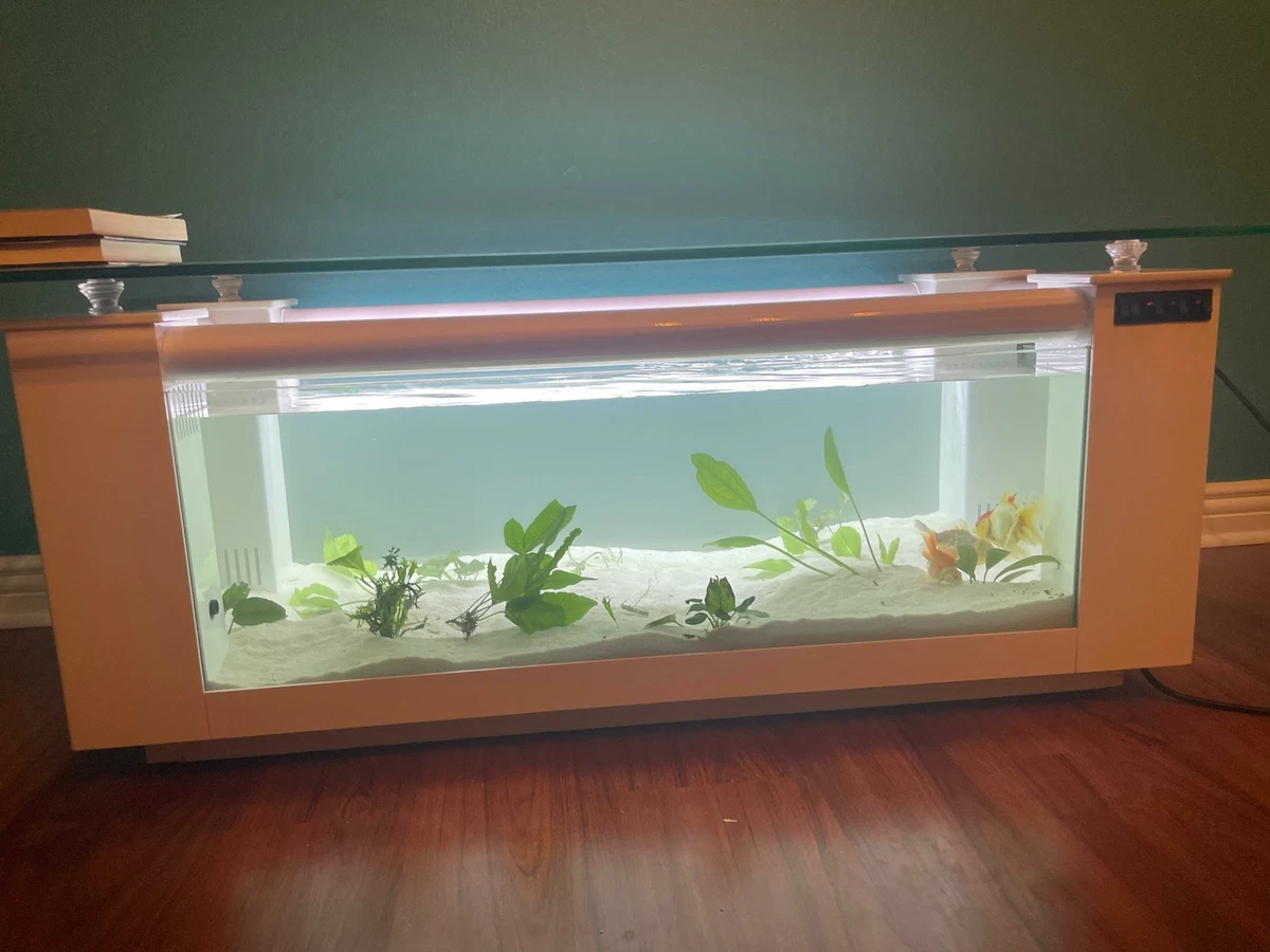 WARRANTY INCLUDED! 45 gallon GLASS rectangle table aquarium fish tank full  setup