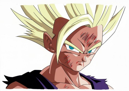 Dragon Ball Son Gohan FAN Cel Akira Toriyama JAPAN JP Import - Picture 1 of 2