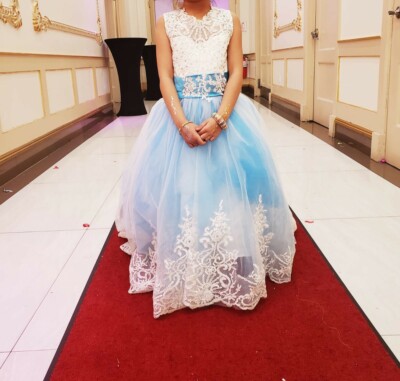 light blue dress with red flowers Flora Appliqu Dress Sky Blue
