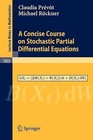 A Concise Course on Stochastic Partial Differential Equations by Claudia Prevot, Michael Rockner (Paperback, 2007)