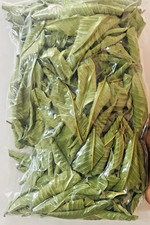 Premium Dried Guava Leaves Hojas De Guayaba Leaf 100 Organic from Sri Lanka