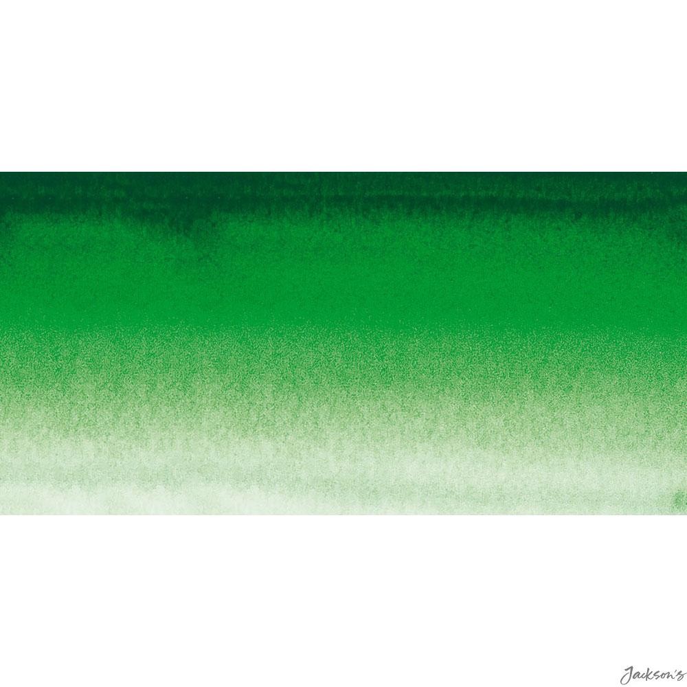 Sennelier L'Aquarelle Watercolour Paint Full Pan Hooker's Green Landscape Pai...