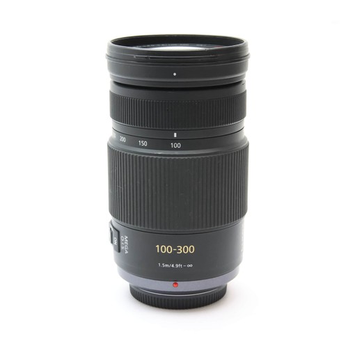 Panasonic LUMIX G VARIO 100-300mm F/4.0-5.6 MEGA O.I.S. #263