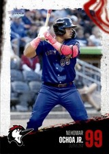 NEHOMAR OCHOA JR. 2025 Choice Fayetteville Woodpeckers #27 Venezuela Astros 🔥