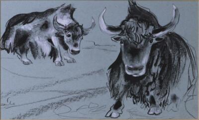 BERYL MAILE original signierte Zeichnung YAKS LONDON ZOO Kohle & Farbe