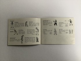 NINTENDO NES SPIEL OVP - KUNG FU - PAL VERSION ANLEITUNG 