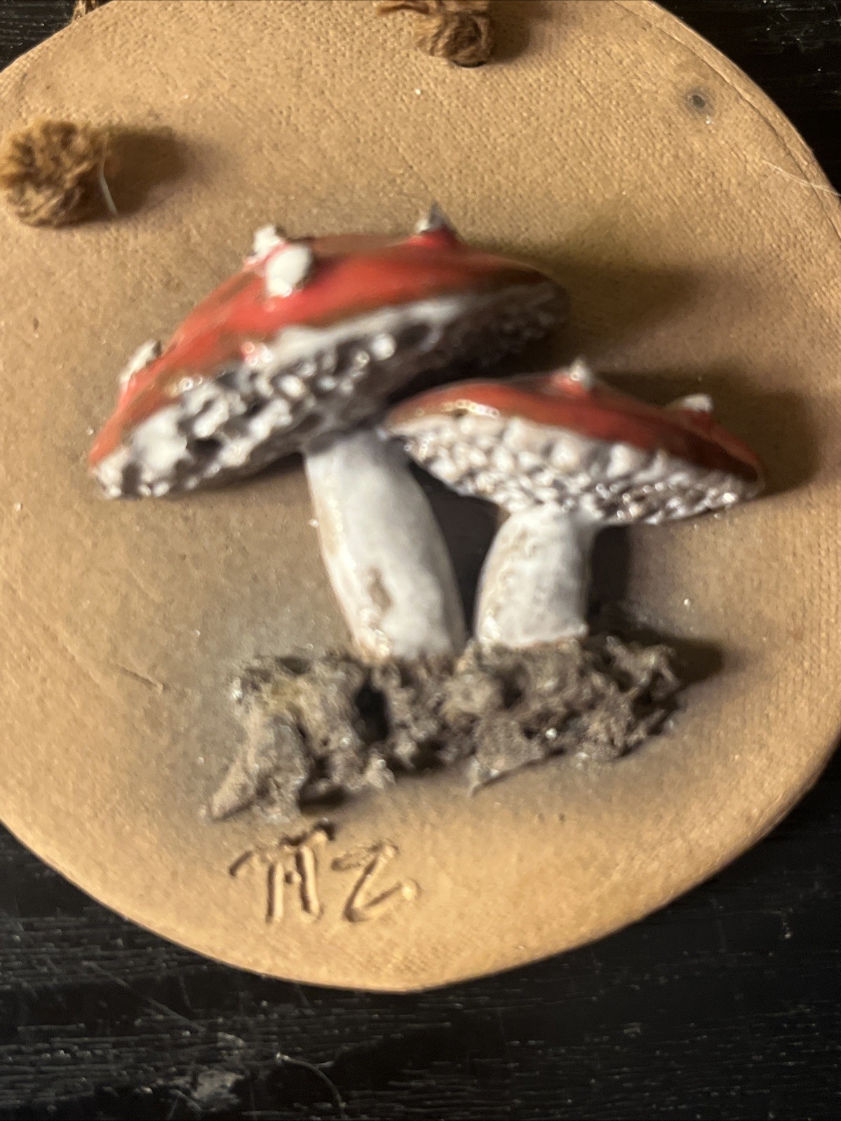 Picture 12 of 21