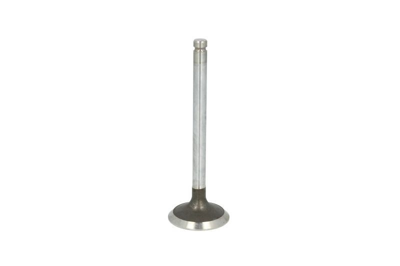 4x ✅Fits FRECCIA 6456/RCR Exhaust valve 6456/RCR Exhaust valve (42x9 ⭐UK Seller⭐