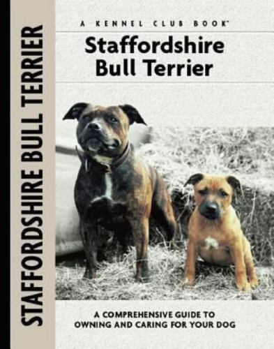 American Staffy Brindle Staffy Puppies North East Staffordshire Bull