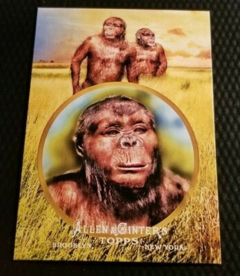 2011 Topps Allen & Ginter AUSTRALOPITHECUS Ascent Of Man Genus of
