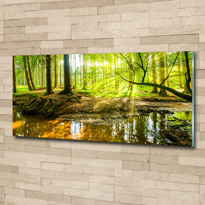 Wandbild aus Plexiglas  Druck auf Acryl 125x50 Landschaften Wasserfall im Wald