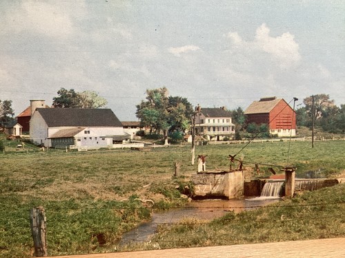 Amish Farm Near Farmersville: Lancaster County, Pensilvania - Postal de colección - Imagen 2 de 3