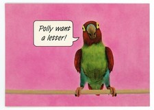 Postcard Polly Want a Letter Hallmark Made in USA Humor Card