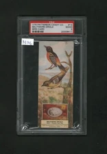 1924 V75 Patterson Candy Co. Bird Card #13 Baltimore Oriole PSA 2 (141146)