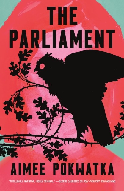 The Parliament by Aimee Pokwatka (Paperback Book)