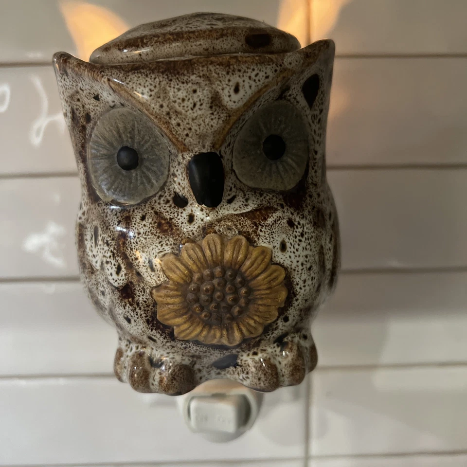 Calentador de cera enchufable de búho de cerámica aromático lindo leñoso decoración del hogar luz nocturna brillo Foto 2 de 4