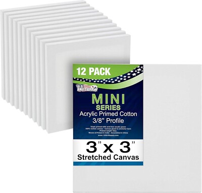 3'' X 3'' Mini Professional Primed Stretched Canvas (1-Pack of 12