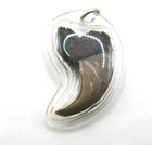 Vintage Thai Amulet Authentic Claw Pendant Protection Charm Lep Mee Bear
