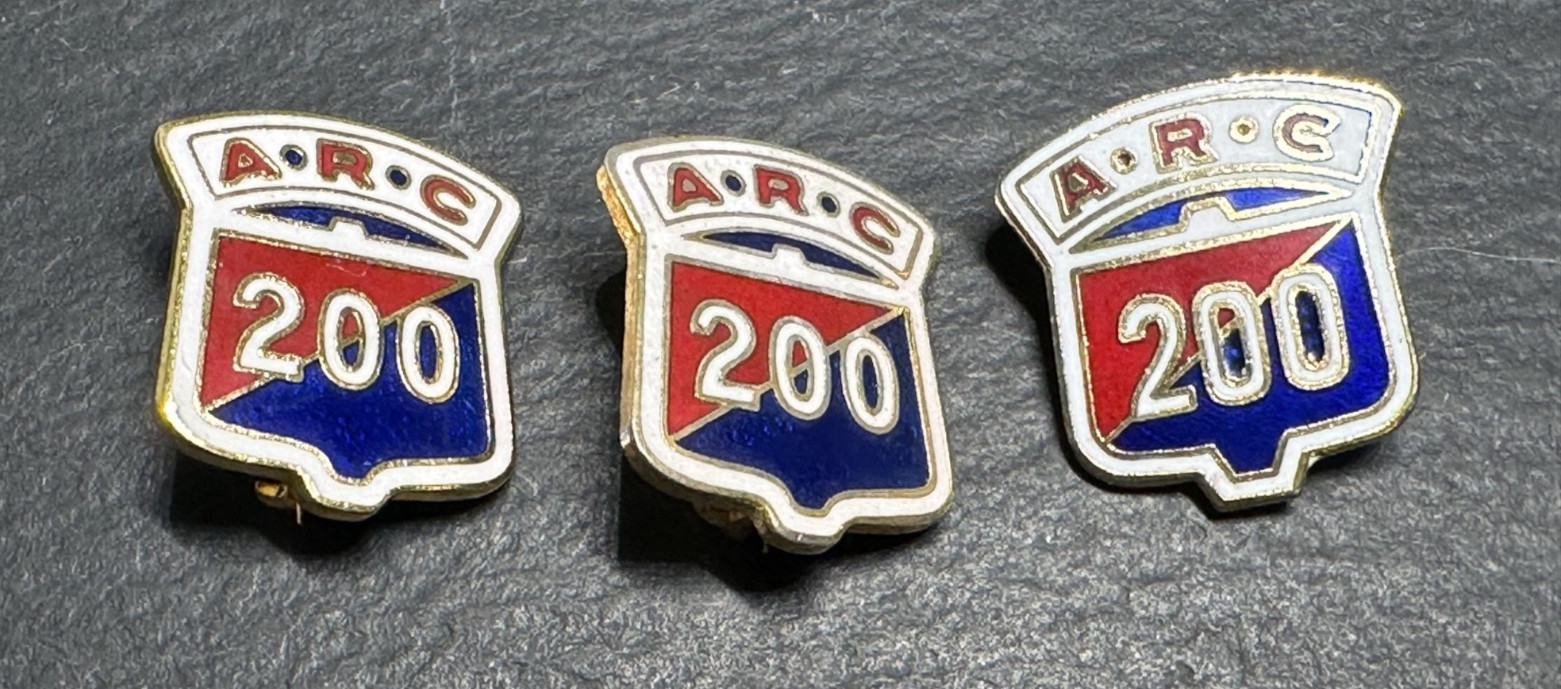 14 AMERICAN RED CROSS PINS : 200, HOME NURSING, LIFE SAVING JR+ H659