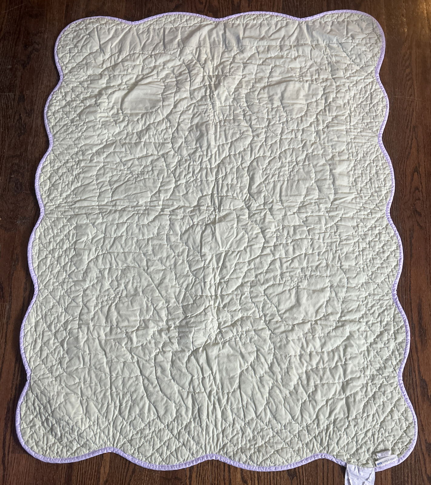 Pottery Barn Kids 100 COTTON Crib Quilt Wall Hanging 36x48” Purple