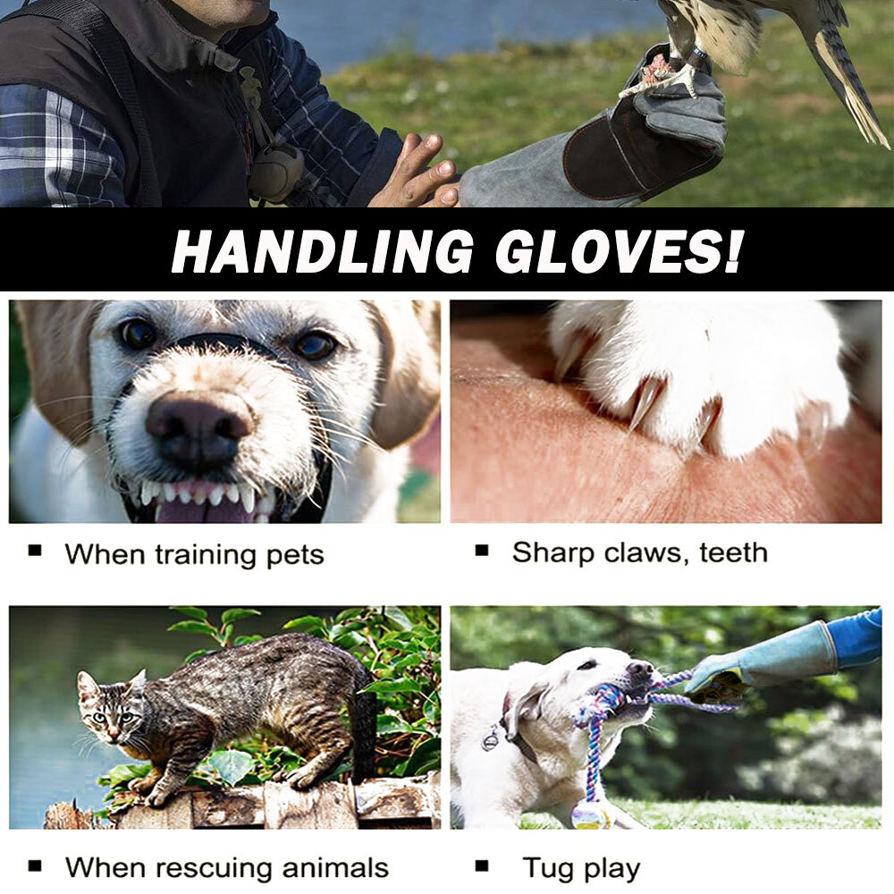 Training Anti-Bite Gloves Animal Handling Chew Protective Mitts Dog Cat Parrot