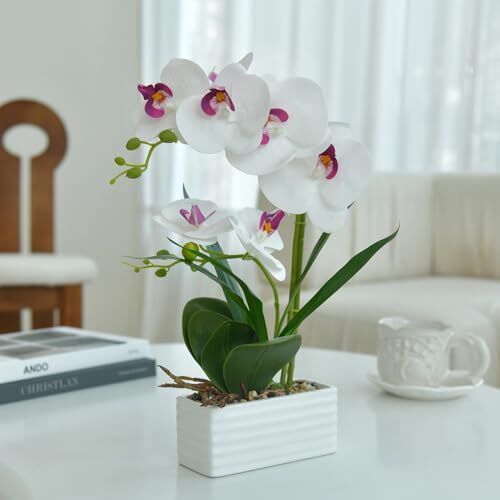 Artificial Real Touch Orchid Flowers in Pot Fake Phalaenopsis Flower A-white - Picture 6 of 8
