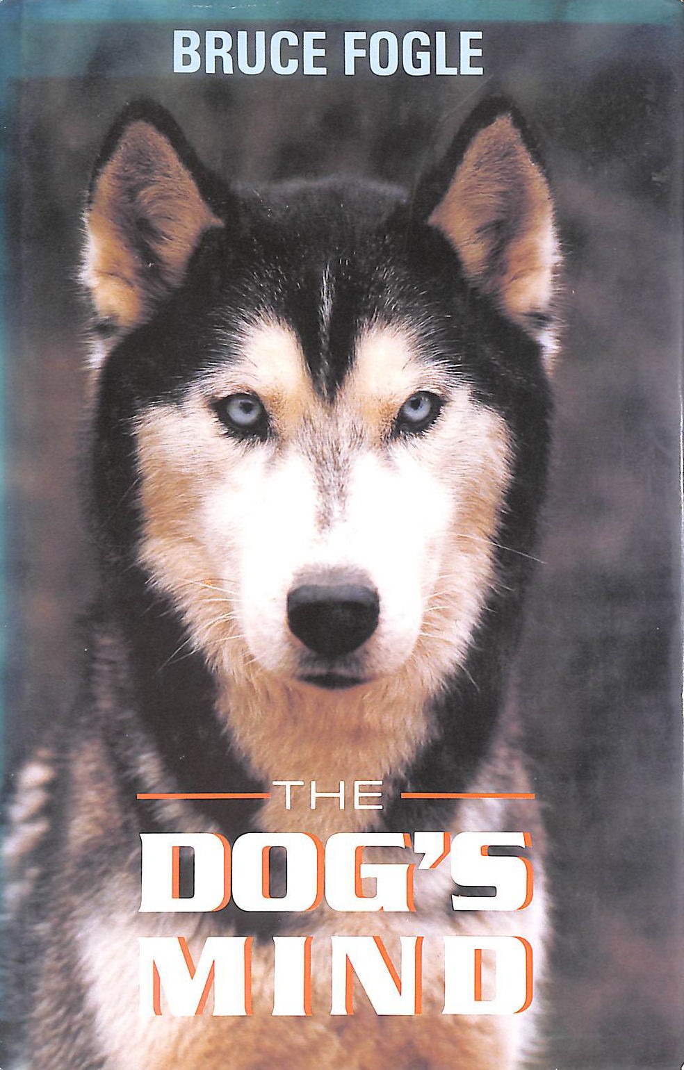 The Dog's Mind by Bruce Fogle; Anne B. Wilson [Drawings]