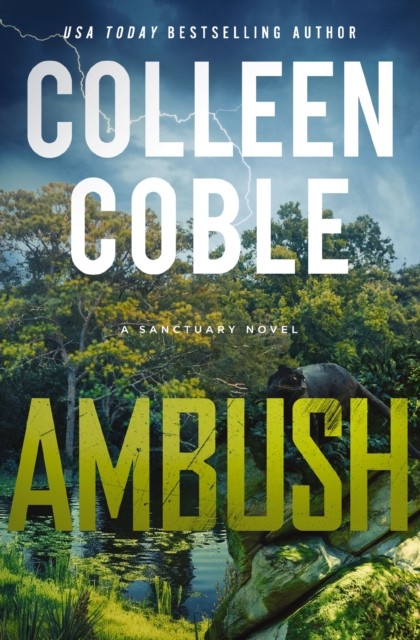 Ambush A Small-Town Romantic Suspense by Colleen Coble (Paperback Book)