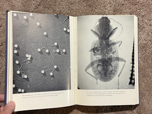 ISAAC ASIMOV The Intelligent Man's Guide to Science 1960 HC Vol. 1 & 2, First Ed - Picture 15 of 17