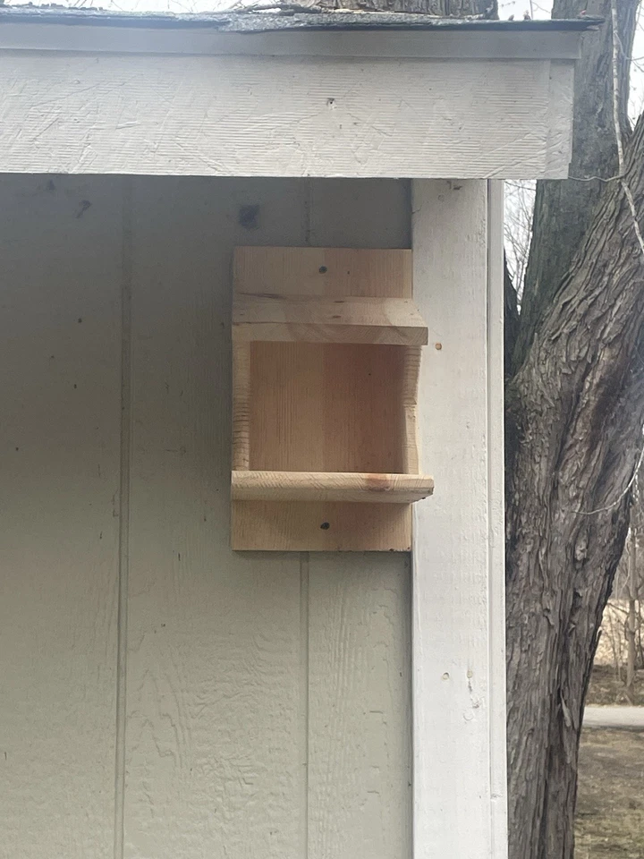 Caja de anidación Robin de madera de pino ~ Caja de anidación de palomas ~ Hogar cardinal ~ Caja de anidación phoebe Foto 4 de 4