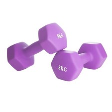 COPPIA 2 MANUBRI PESI DA PALESTRA MANUBRIO PESETTI PER FITNESS BILANCIERE 8.0KG