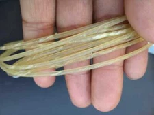 DOUBLE BASS GUT STRING