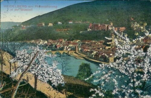 Postcard Heidelberg from the Philosphenweg in its heyday (No.9009)