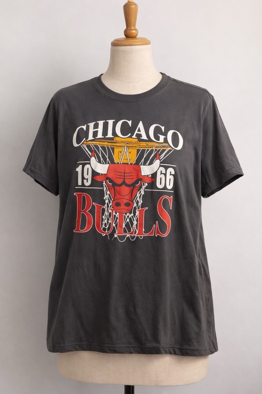 NBA Chicago Bulls Torrid Plus Size Women’s Graphic Tee Basketball Shirt