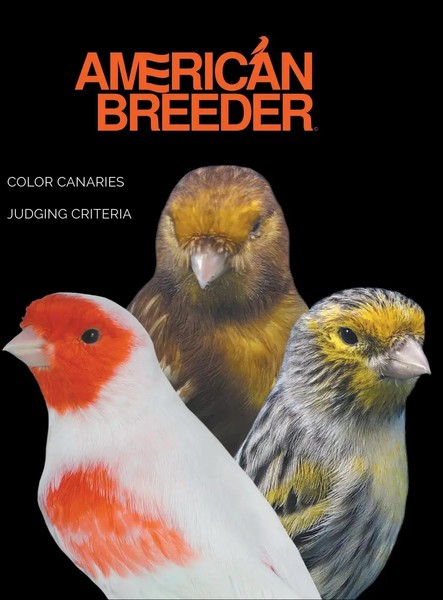 Ricardo Sanchez | American Breeder | Buch | Englisch (2022) | Go To Publish-image