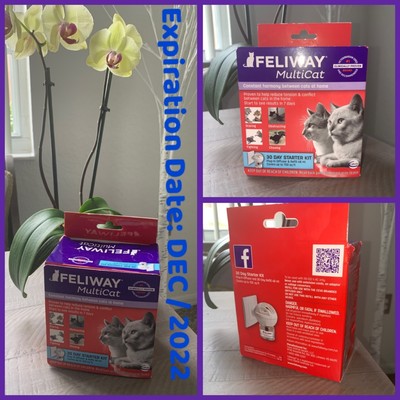 feliway multicat starter kit