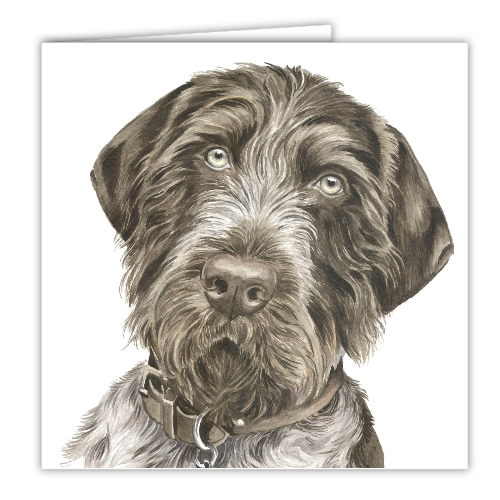 German Wirehaired Pointer greetings card dog blank card dogs Wirehaired Pointers