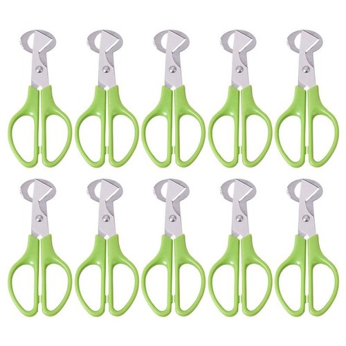 10pcs Quail Egg Scissors Stainless Steel Pigeon Quail Egg Cutter Egg Shears Tool