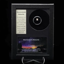Muonionalusta Meteorite – Ancient Iron-Nickel Space Rock in Collector’s Display
