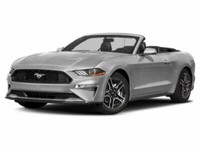 2022 Ford Mustang EcoBoost