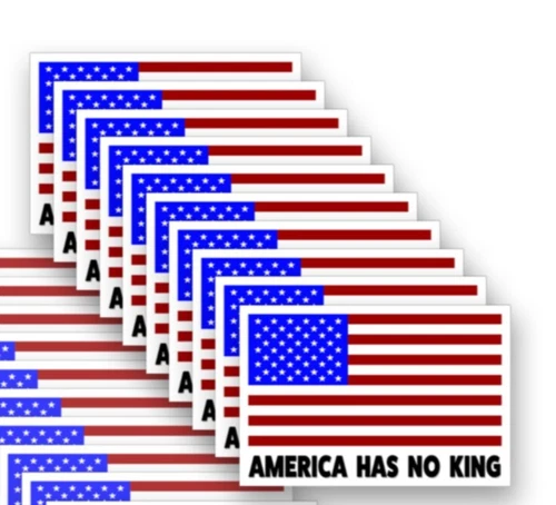 America Has No King - Anti TRUMP Decals Vinyl Bumper Stickers 10-PACK 3" wide