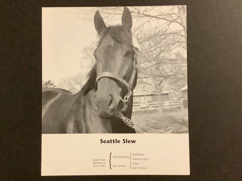 SEATTLE SLEW photo Horse Racing 1977 Triple Crown