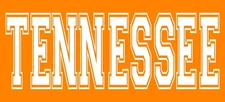 Tennessee Varsity Iron On Transfer For T-Shirt + Other Light & Dark Fabrics #41